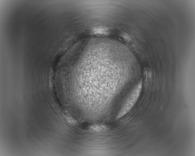 X0000071790712200607150121