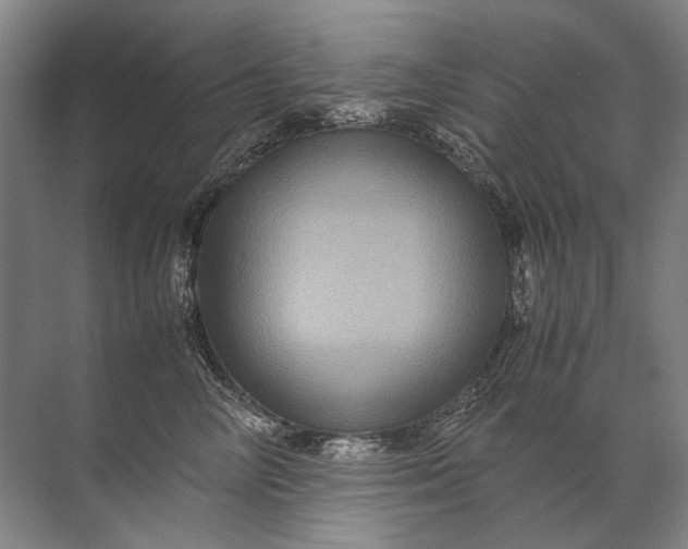 X0000071790714200607150121