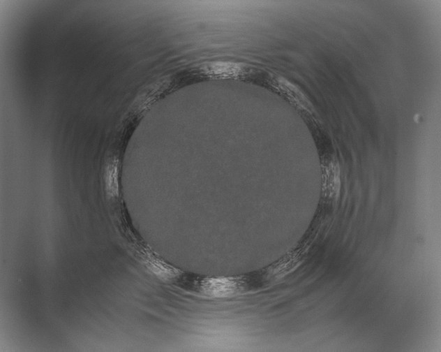 X0000071790717200607150121