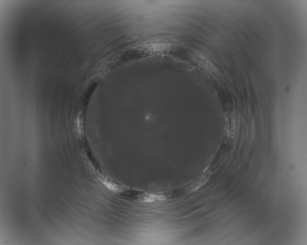 X0000071790718200607150121
