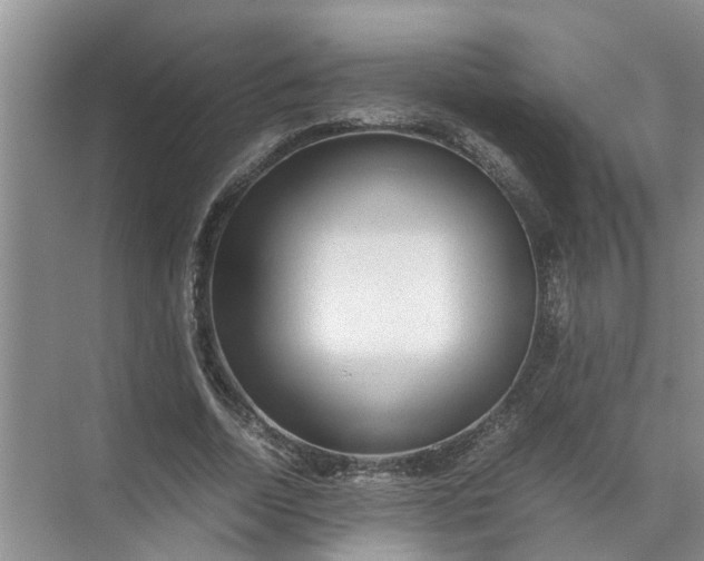 X0000071790730200607150120
