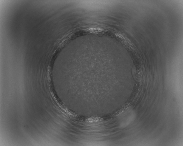 X0000071790757200607150120