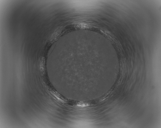 X0000071790760200607150120