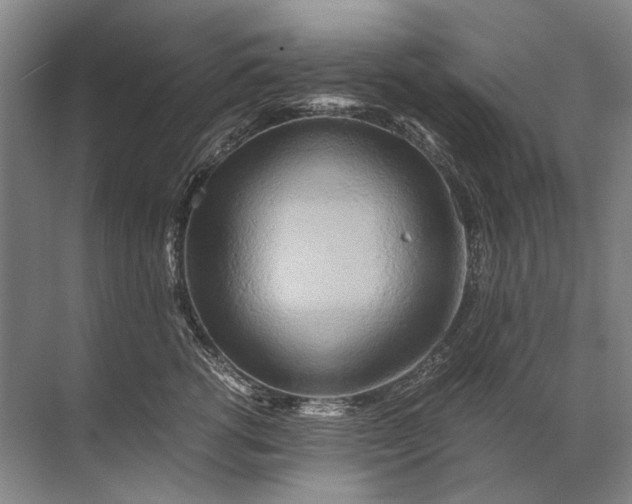 X0000071790762200607150121