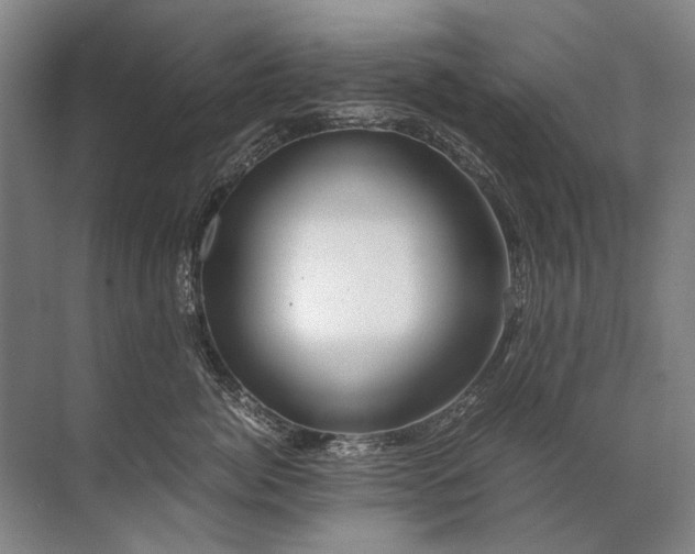 X0000071790764200607150121