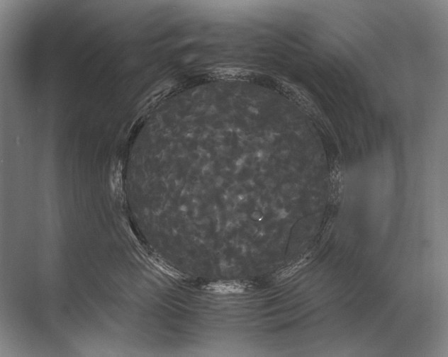 X0000071790765200607150121