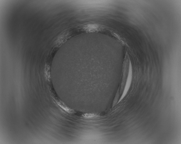 X0000071790766200607150121