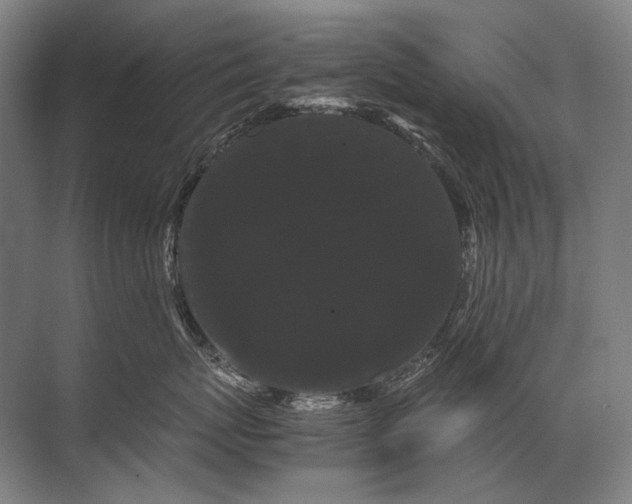 X0000071790767200607150121