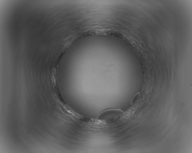 X0000071790768200607150121