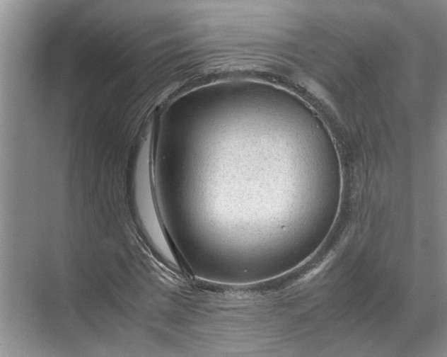 X0000071790777200607150120