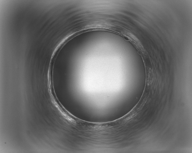 X0000071790796200607150119