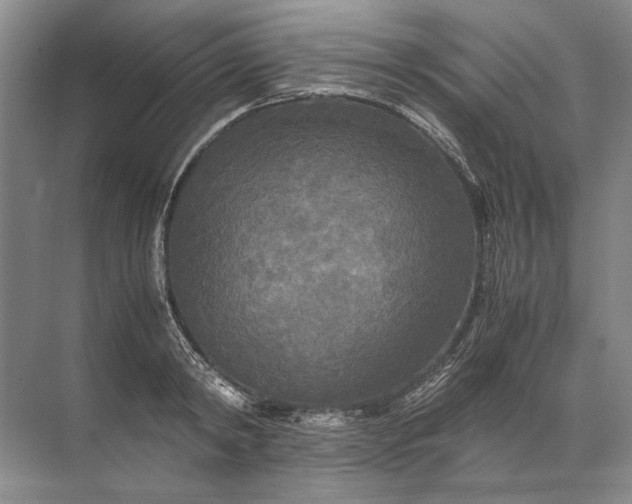 X0000071790798200607150119