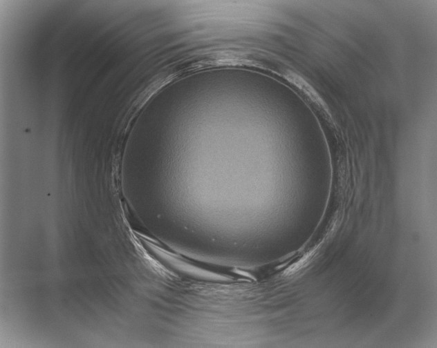 X0000071790801200607150119