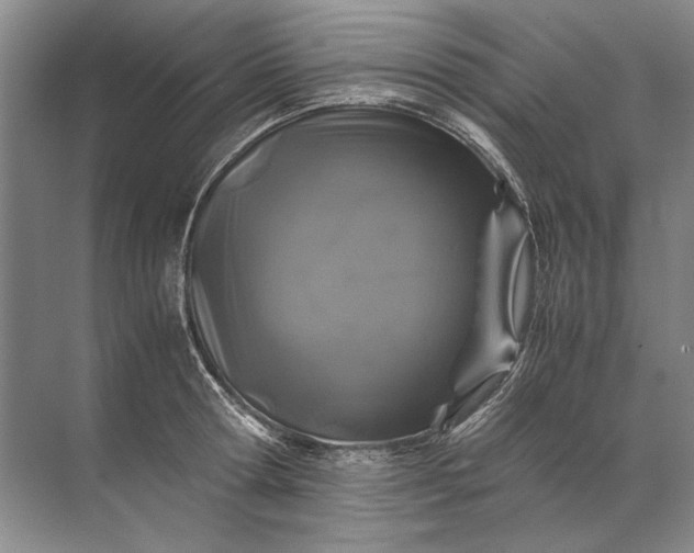 X0000071790802200607150119