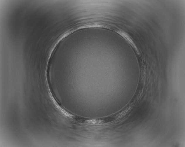 X0000071790805200607150119