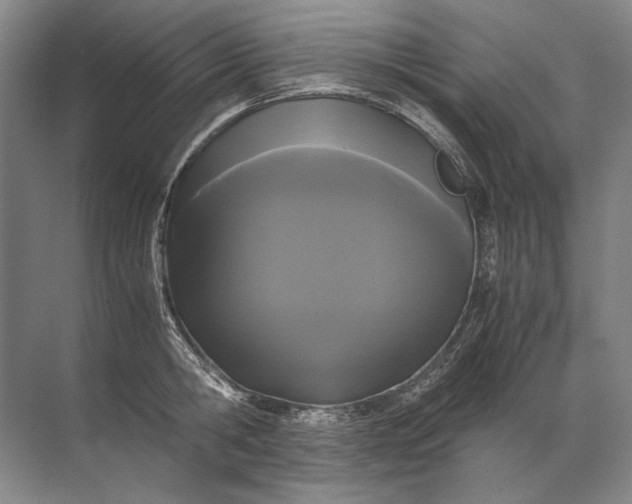 X0000071790806200607150119