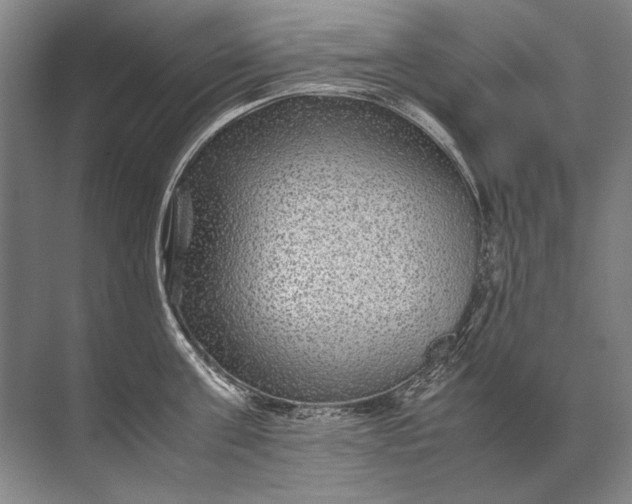 X0000071790811200607150119