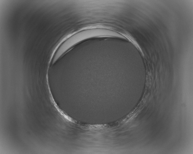 X0000071790813200607150119