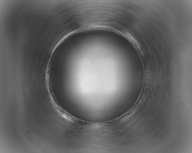 X0000071790814200607150119