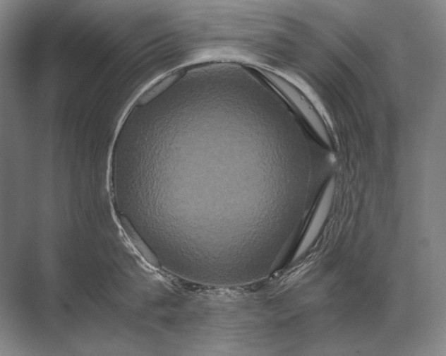 X0000071790815200607150119