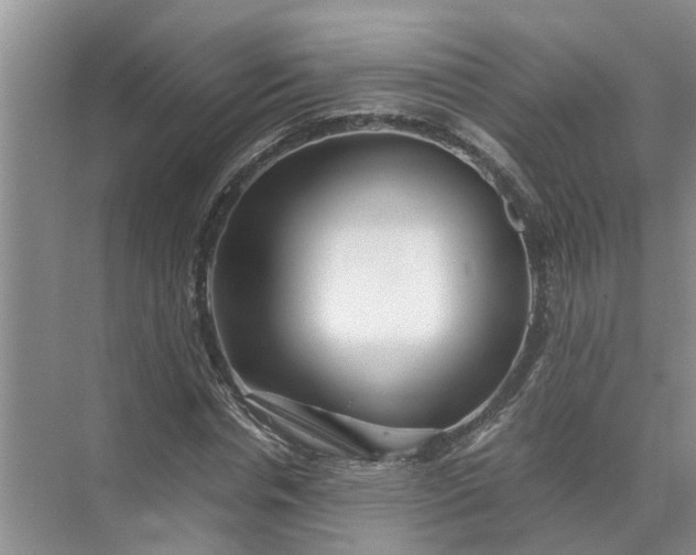 X0000071790826200607150118