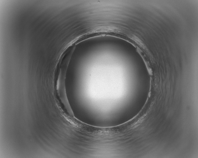 X0000071790834200607150118