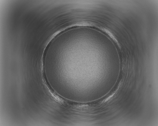 X0000071790837200607150119