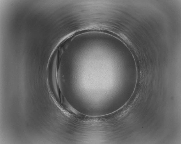 X0000071790838200607150119