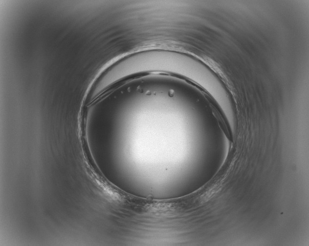 X0000071790846200607150119