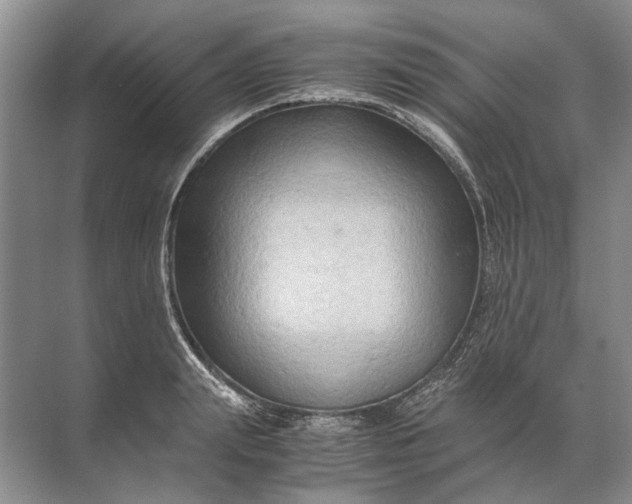 X0000071790847200607150119