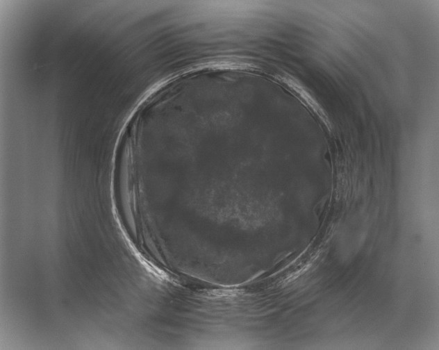 X0000071790853200607150119