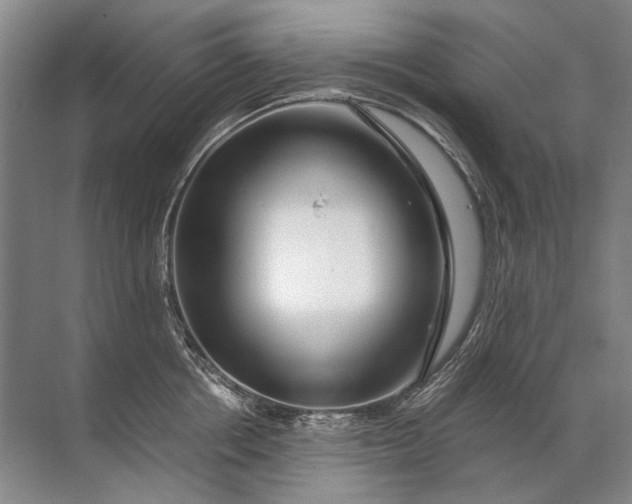 X0000071790858200607150119