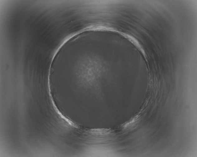X0000071790863200607150119