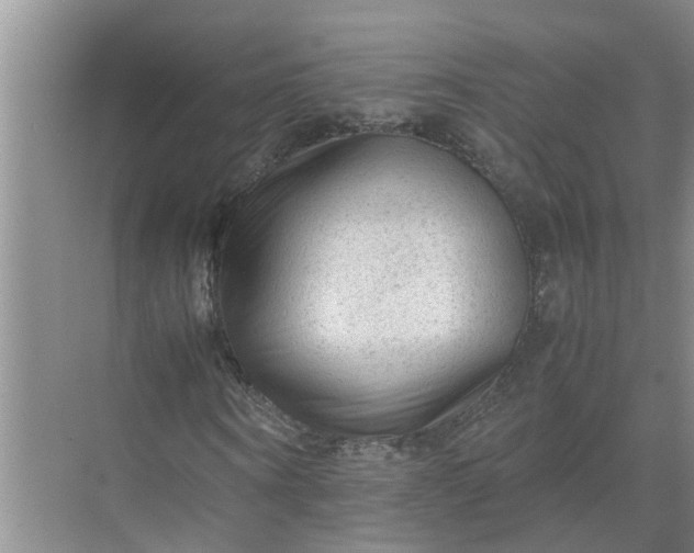 X0000071790866200607150118