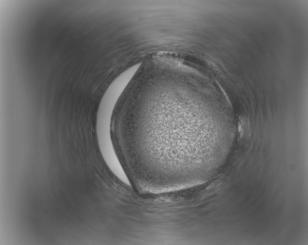 X0000071790867200607150118