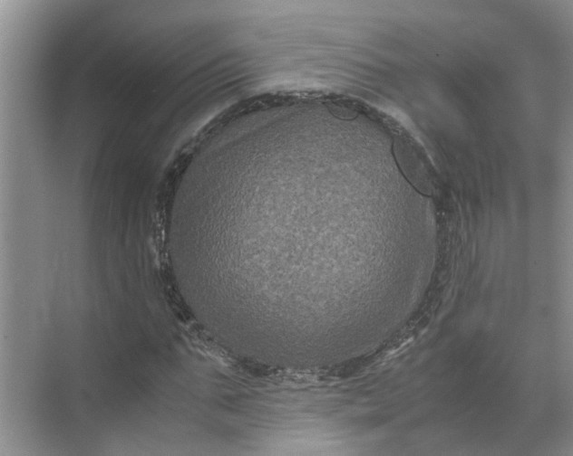 X0000071790871200607150118