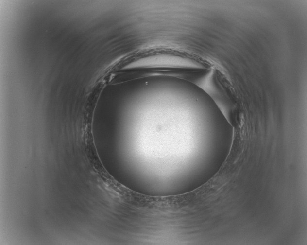X0000071790872200607150118