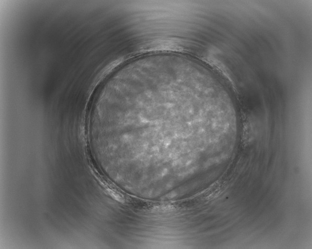 X0000071790882200607150118