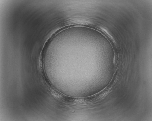 X0000071790883200607150118