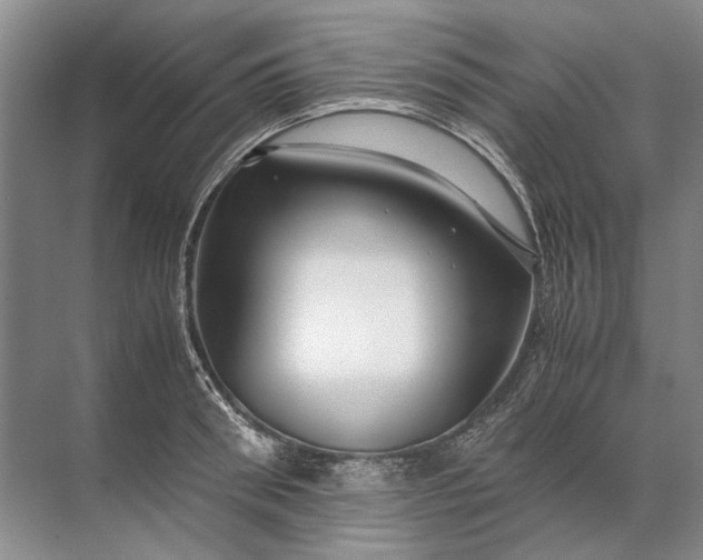 X0000071790898200607150118