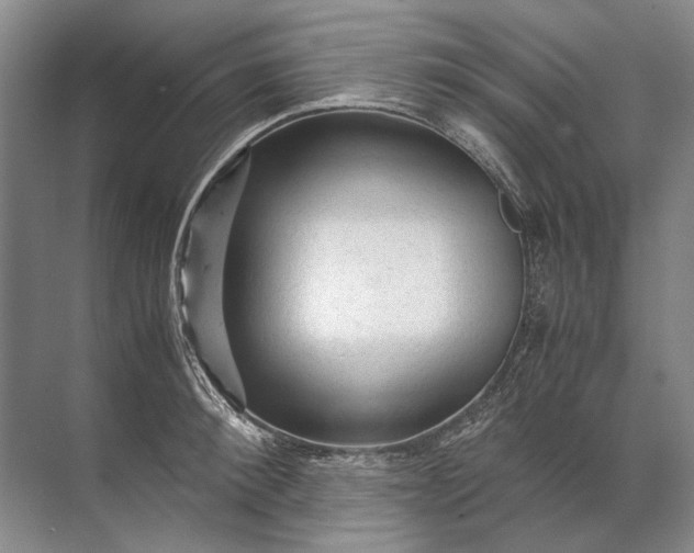 X0000071790900200607150118