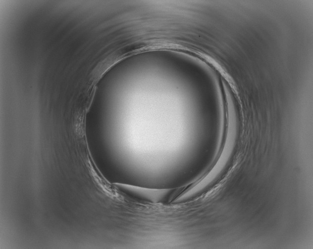 X0000071790905200607150117