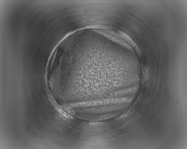 X0000071790908200607150117