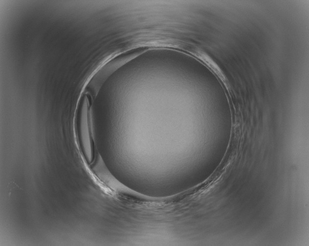 X0000071790909200607150117