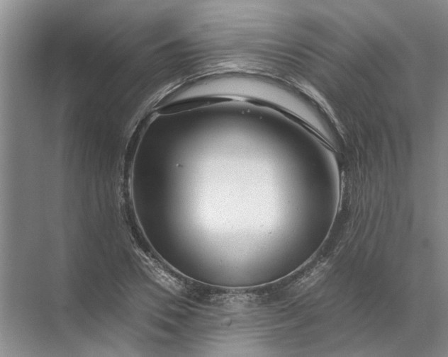 X0000071790930200607150117