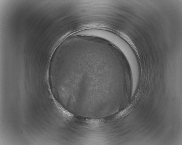 X0000071790946200607150117