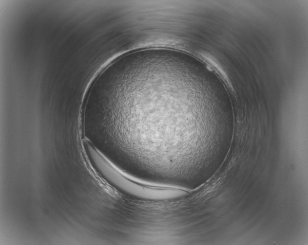 X0000071790948200607150117