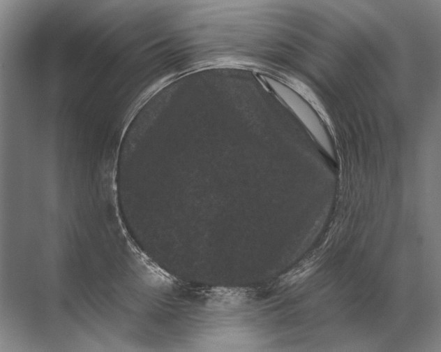 X0000071790954200607150117