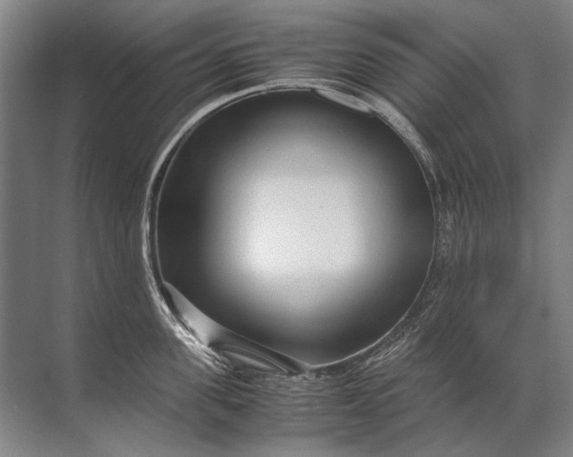 X0000071790955200607150117