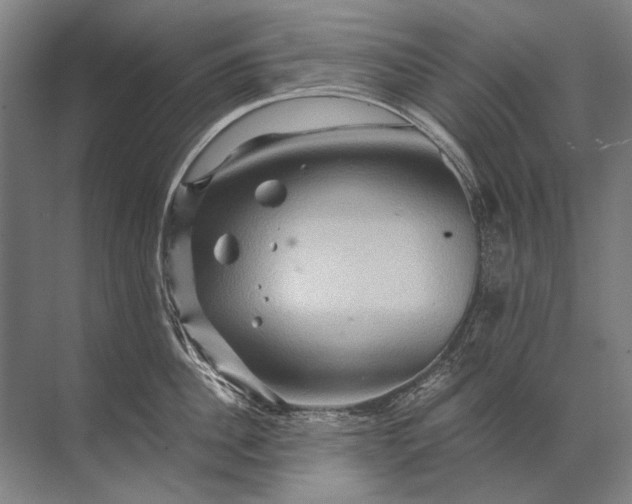 X0000071790956200607150117